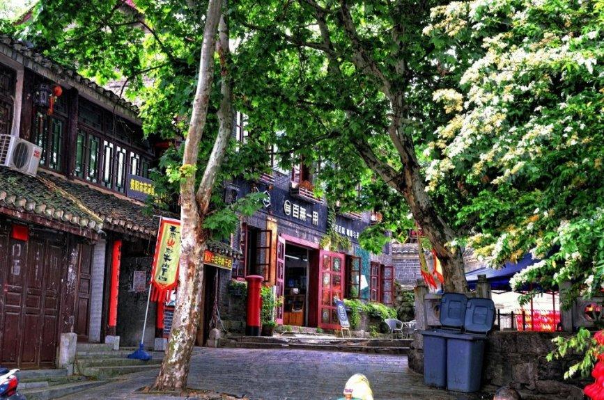 瑞德的冒险之旅中文版